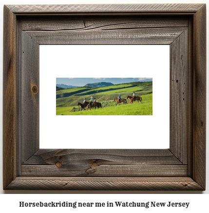 horseback riding near me in Watchung, New Jersey